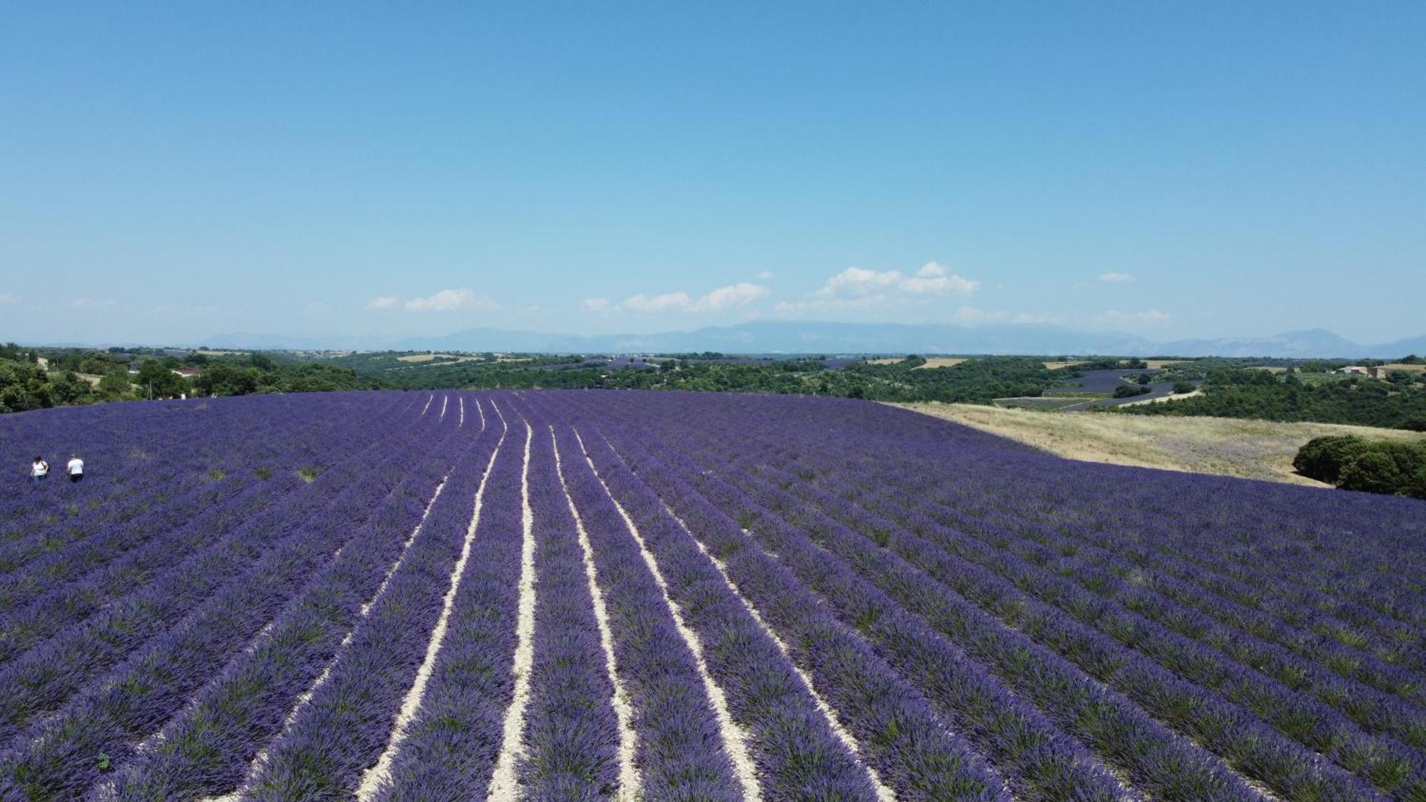 Le Jas Des Aiguiers Hotel Saint-Saturnin-d'Apt Buitenkant foto